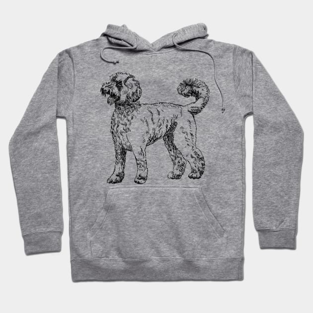 labradoodle portrait Hoodie by VicaVeresk